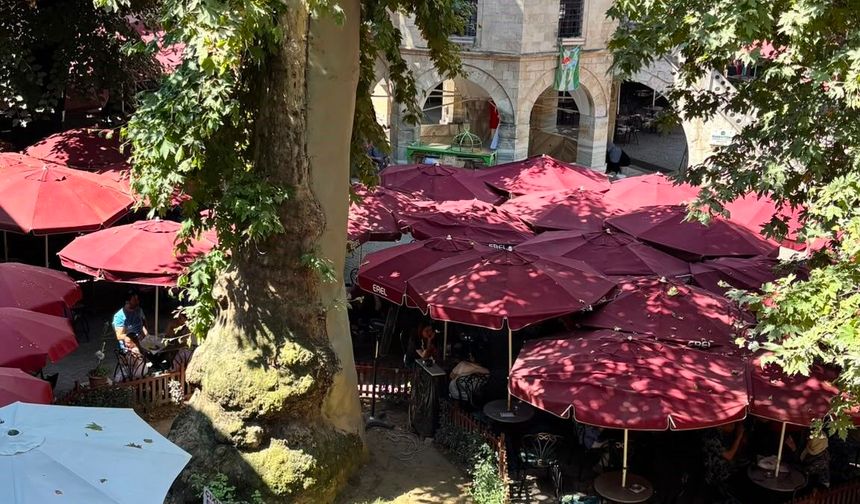 530 yıllık tarihi Kozahan'da masa sandalyeler yeniden açıldı