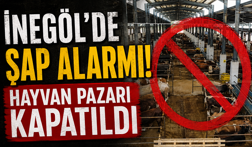 İnegöl'de şap alarmı! Hayvan pazarı kapatıldı