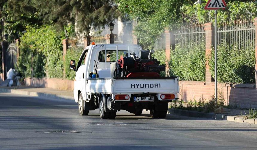 Küçükçekmece'de sivrisineklere karşı mücadele yoğunlaştı