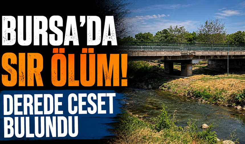 Bursa Osmangazi'de dere içinde erkek ces*di bulundu