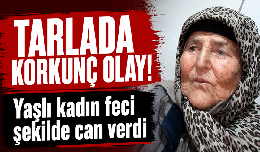 Bursa'da tarlada uyuyan kadın iş makinesinin altında can verdi