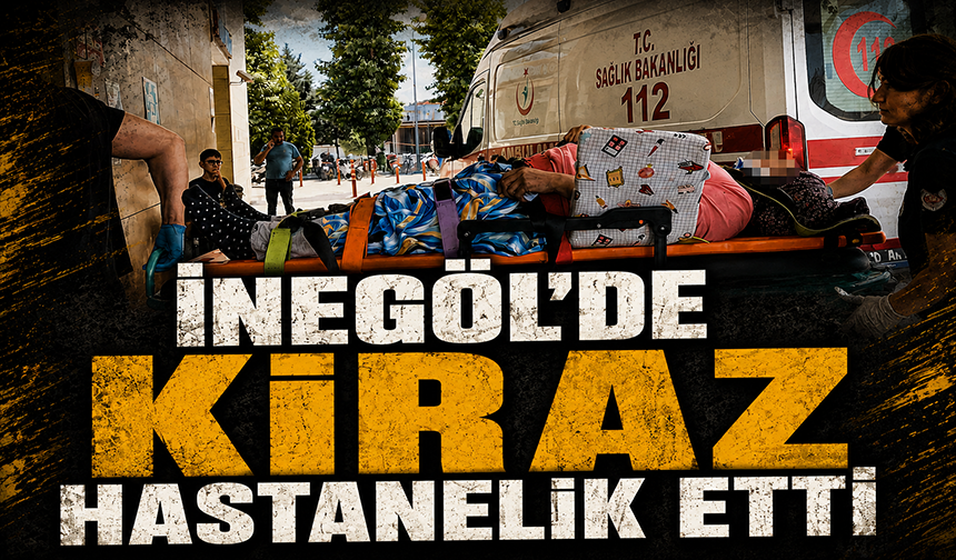 Bursa İnegöl'de kiraz hastanelik etti