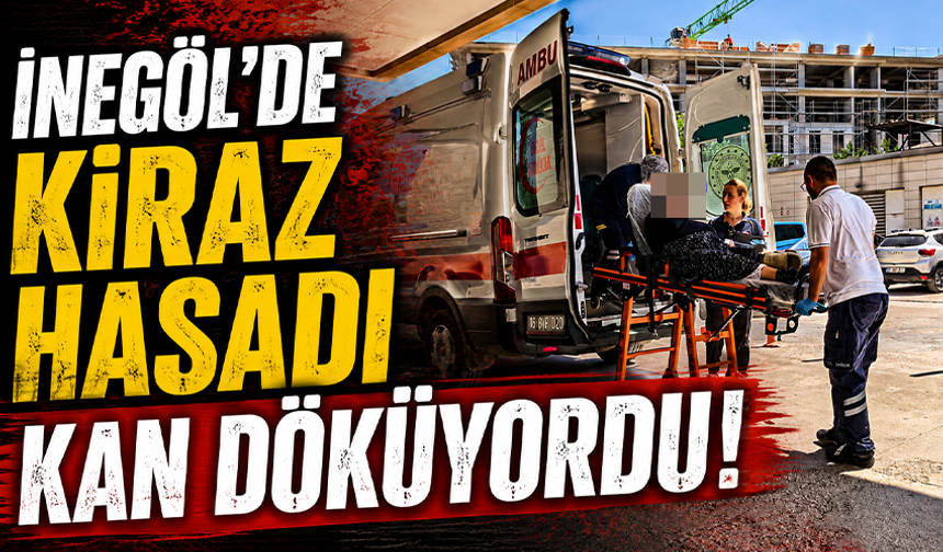 Bursa İnegöl'de kiraz ağacından düştü!