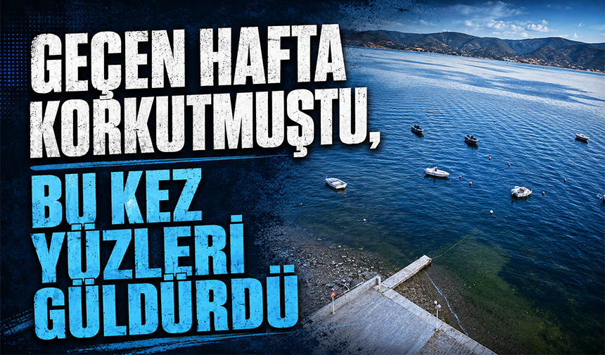 Müsilajın ardından Gemlik Körfezi'nde sevindiren görüntüler