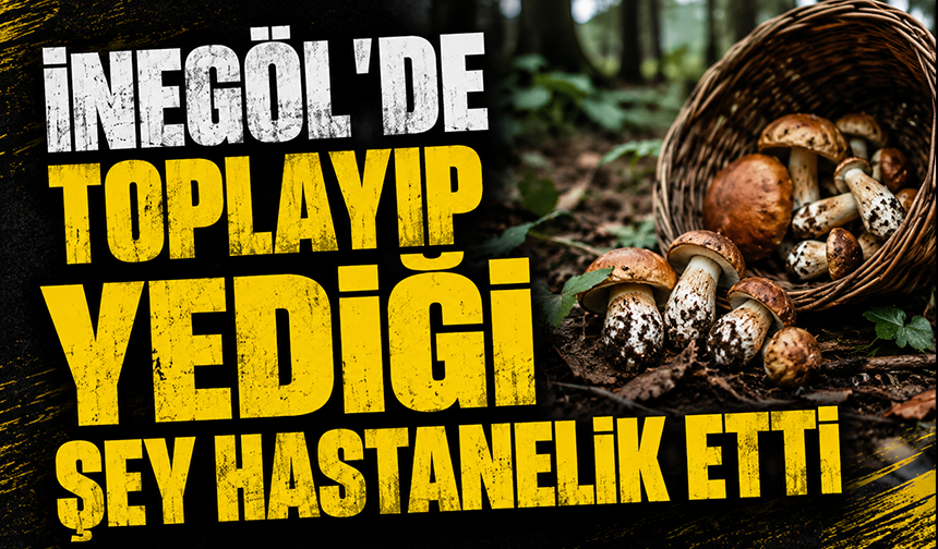 Bursa İnegöl'de toplayıp yediği şey hastanelik etti