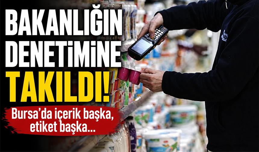 Bursa'da üretilen yoğurt bakanlık denetimine takıldı!