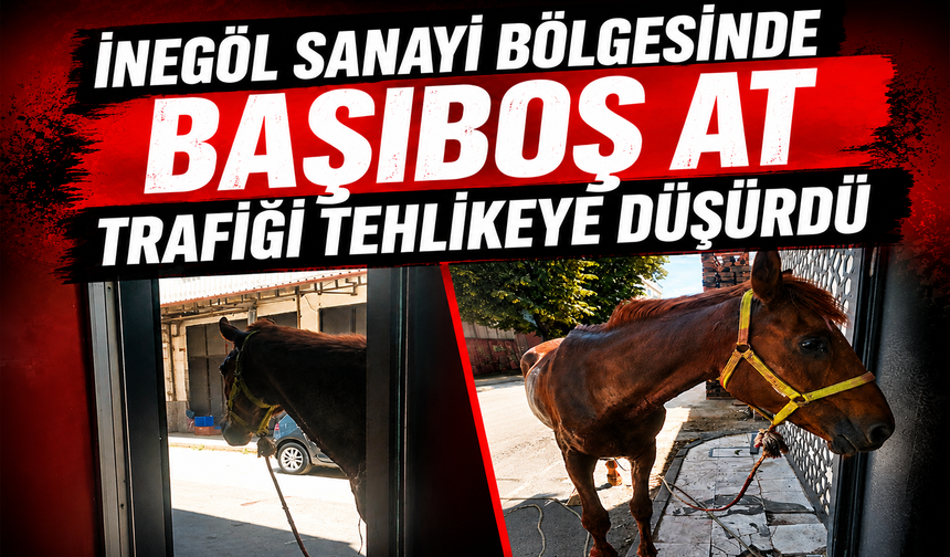 İnegöl Sanayi Bölgesinde başıboş at trafiği tehlikeye düşürdü