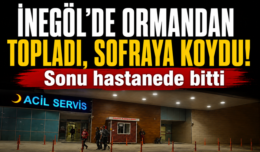 Bursa İnegöl'de ormandan topladığı mantar hastanelik etti