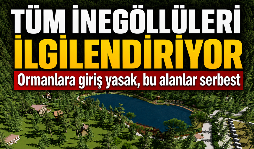 Ormanlara giriş yasaklandı!  İşte Bursa'da serbest olan 78 alan