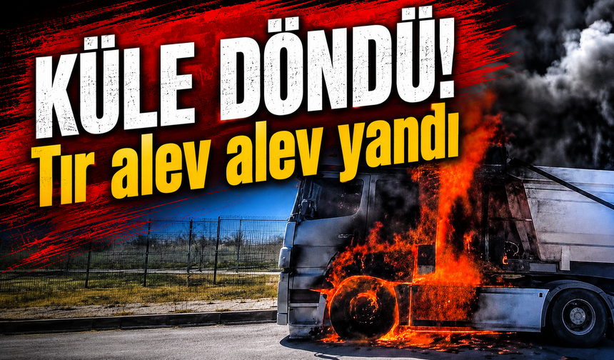 Bursa Nilüfer'de seyir halindeyken alev alan tır kül oldu