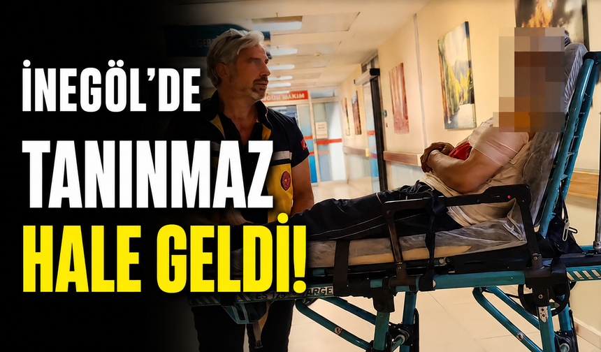 Bursa İnegöl'de kiraz ağacından düştü