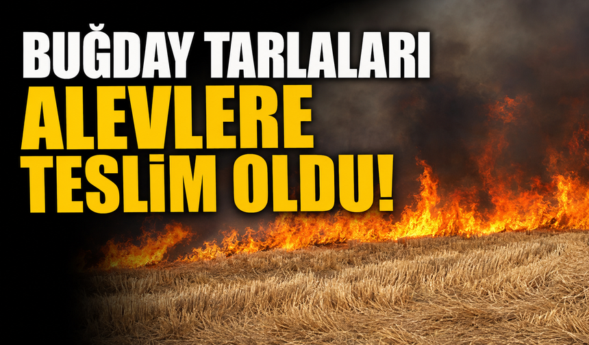 Bursa Karacabey'de buğday tarlaları alevlere teslim oldu