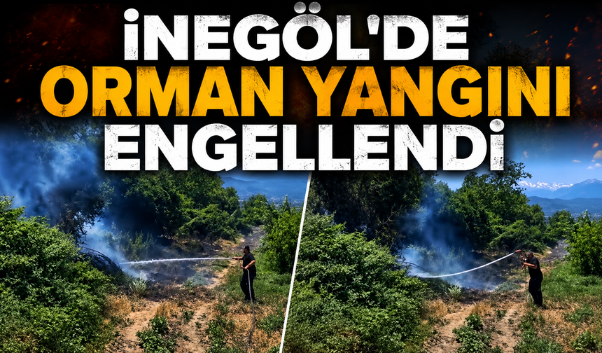 Bursa İnegöl'de orman yangını engellendi