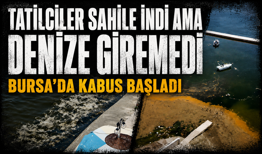 Müsilaj yeniden Gemlik Körfezi'nde