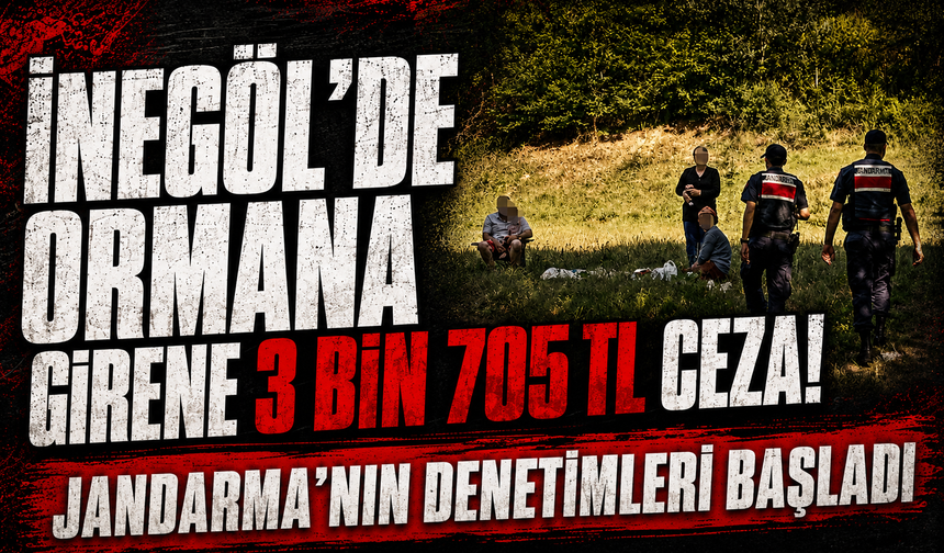 İnegöl'de Ormana Girene 3 Bin 705 TL Ceza! Jandarma'nın Denetimleri Başladı