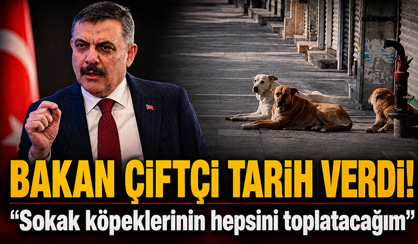 Bakan Çiftçi tarih verdi: Sokak köpeklerinin hepsini toplatacağım