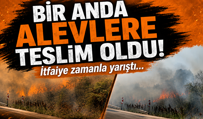 Bursa-Karacabey yolunda yangın alarmı!