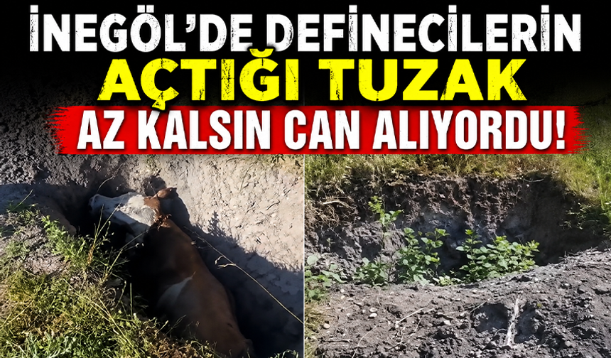Bursa İnegöl'de definecilerin açtığı tuzak az kalsın can alıyordu!