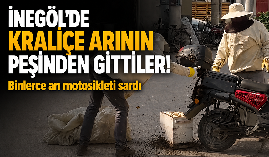Bursa İnegöl'de binlerce arı motosikleti sardı!