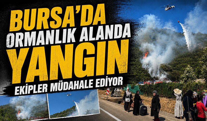 Bursa'da ormanlık alanda yangın