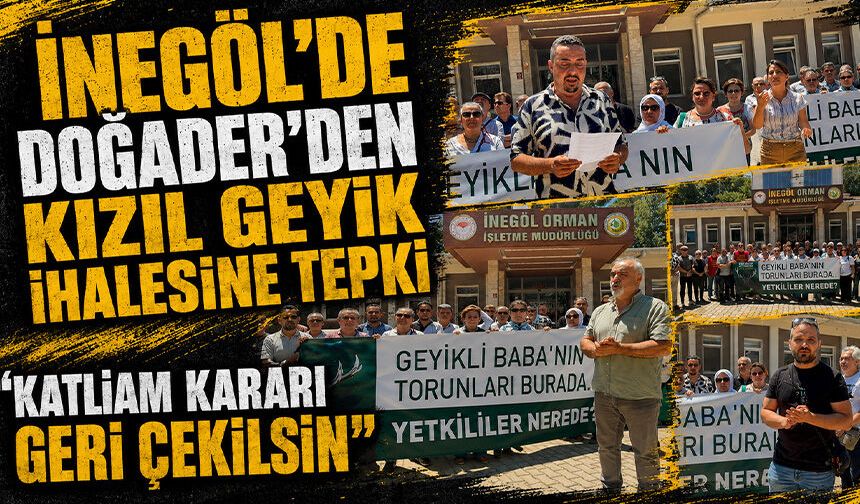 İnegöl'de DOĞADER'den kızıl geyik ihalesine tepki: “Katliam kararı geri çekilsin”