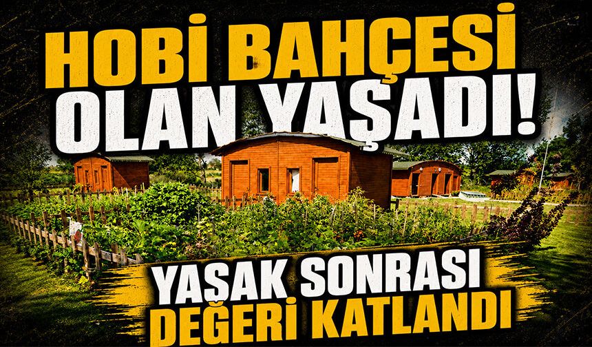 Hobi Bahçesi Olan Yaşadı! Yasak Sonrası Değeri Katlandı