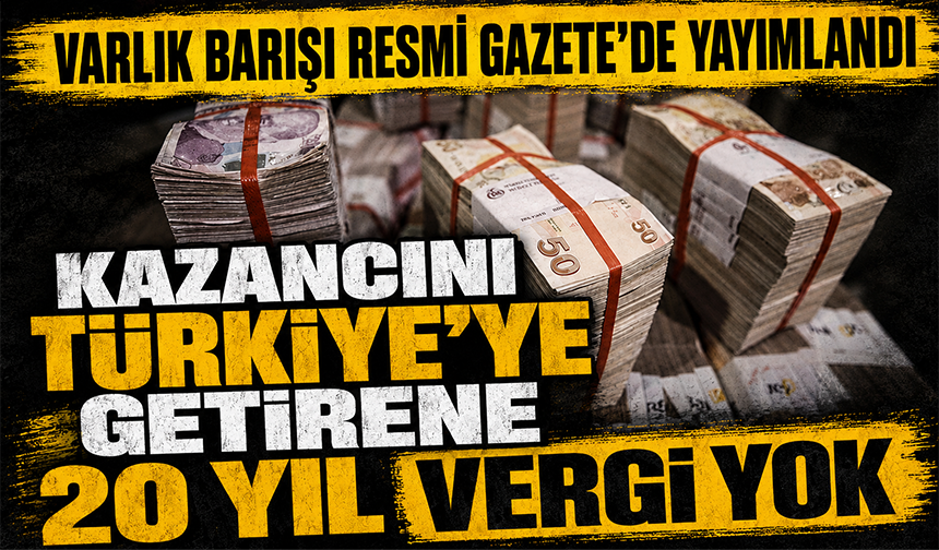 Varlık barışı Resmi Gazete'de yayımlandı: Kazancını Türkiye'ye getirene 20 yıl vergi yok