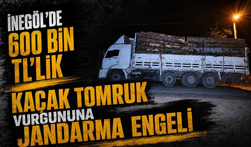 Bursa İnegöl'de 600 Bin TL'lik Kaçak Tomruk Vurgununa Jandarma Engeli