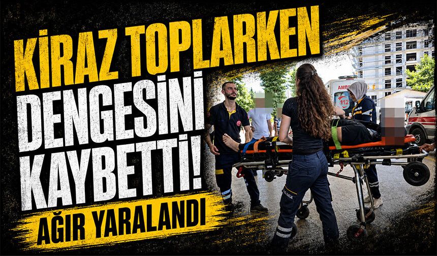 Kiraz toplarken dengesini kaybetti! Ağır yaralandı