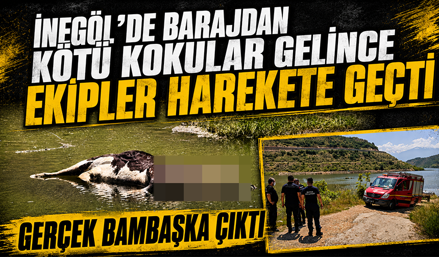 Bursa İnegöl'de Barajdan kötü kokular gelince ekipler harekete geçti: Gerçek bambaşka çıktı