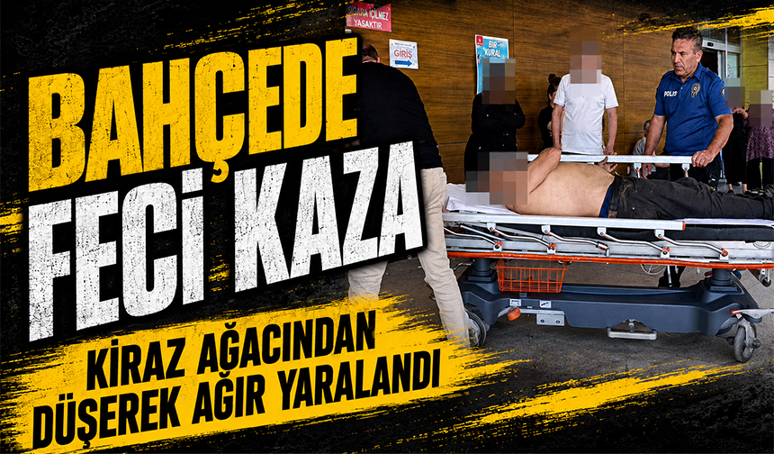 Bursa İnegöl'de bahçede Feci Kaza: Kiraz Ağacından Düşerek Ağır Yaralandı