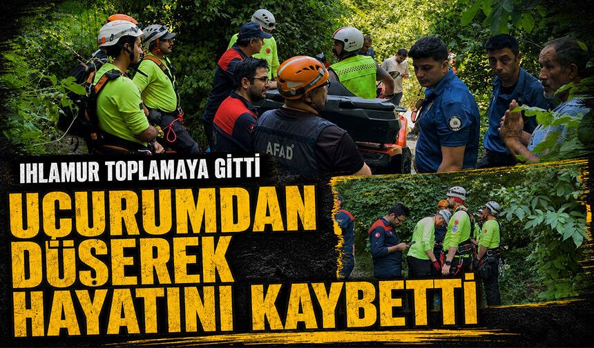 Bursa Uludağ'a ıhlamur toplamaya gitti, uçurumdan düşerek hayatını kaybetti