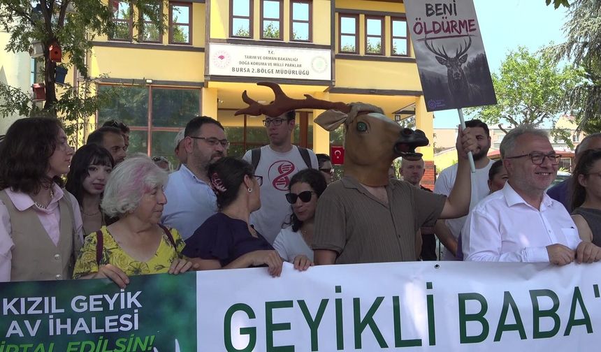 Bursa'da kızıl geyik av ihalesine geyik kostümlü protesto