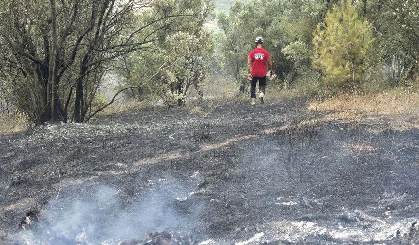 Bursa Mudanya'da rüzgarın etkisiyle büyüyen yangın kontrol altına alındı