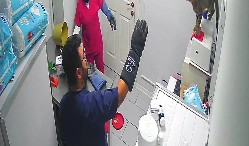 Bursa'da veterinerde deprem etkisi yapan kedi Türkiye'nin gündeminde