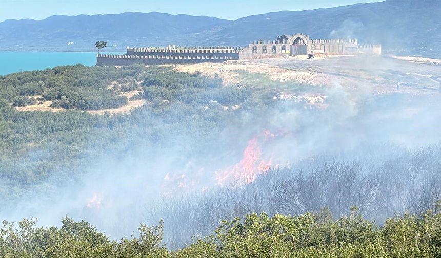 Bursa Orhangazi'de ormanlık alanda yangın çıktı
