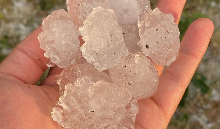 Tekirdağ'da dolu ayçiçeği ve karpuz tarlalarını vurdu