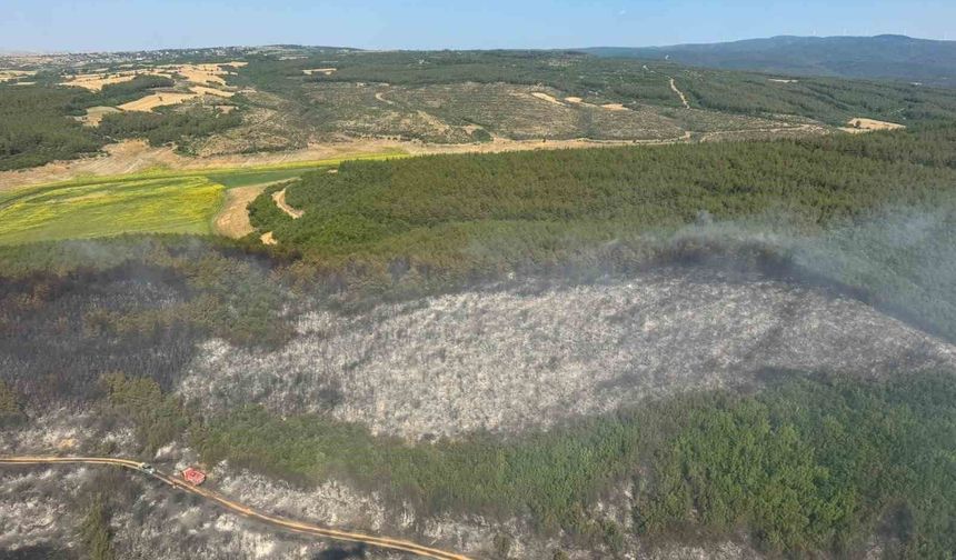 Tekirdağ'da orman yangını: Ekipler havadan ve karadan seferber oldu