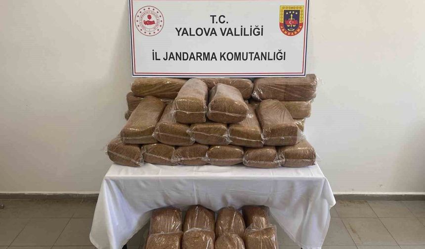 Yalova'da 160 kilo kaçak tütün ele geçirildi