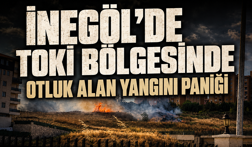 İnegöl'de TOKİ Bölgesinde Otluk Alan Yangını Paniği