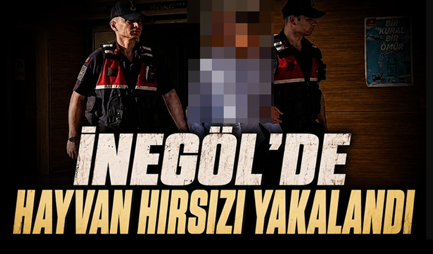 Bursa İnegöl'de hayvan hırsızı yakalandı