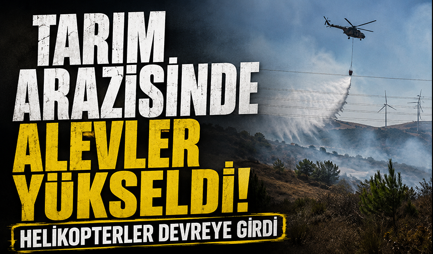 Bursa Karacabey'de engebeli arazide yangın