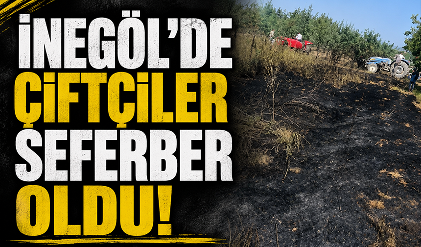 Bursa İnegöl'de çiftçiler seferber oldu