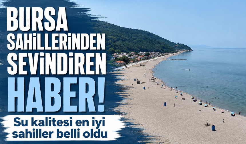 Bursa'da 24 plajın su kalitesi açıklandı
