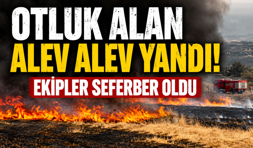 Bursa'da otluk alan alev alev yandı