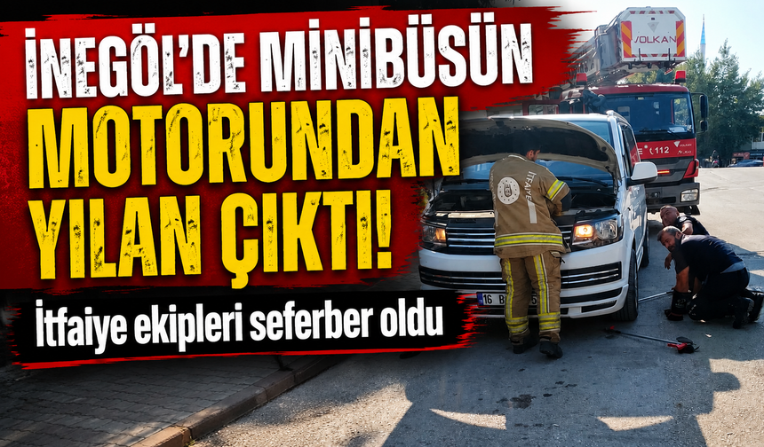 Bursa İnegöl'de minibüsün motorundan yılan çıktı!