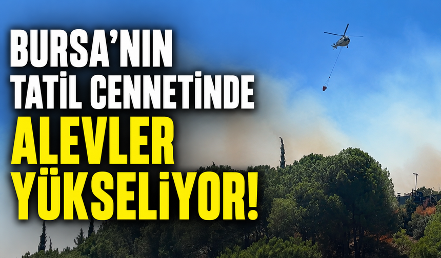 Bursa Gemlik'te alevler yükseliyor!