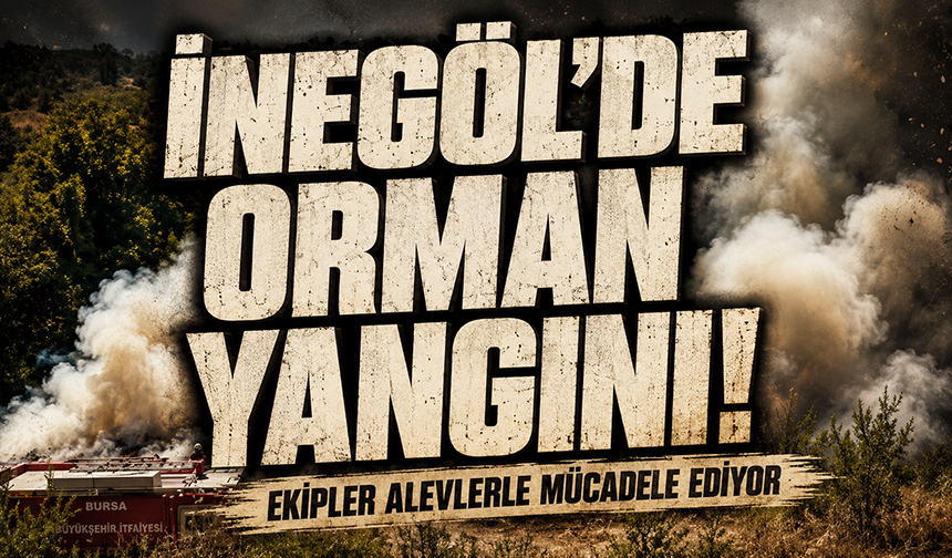 Bursa İnegöl'de orman yangını! Ekipler alevlerle mücadele ediyor