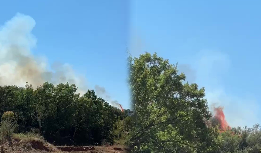 Bursa Kestel'de orman yangını