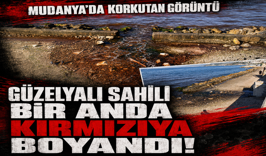 Mudanya'da korkutan görüntü: Güzelyalı sahili bir anda kırmızıya boyandı